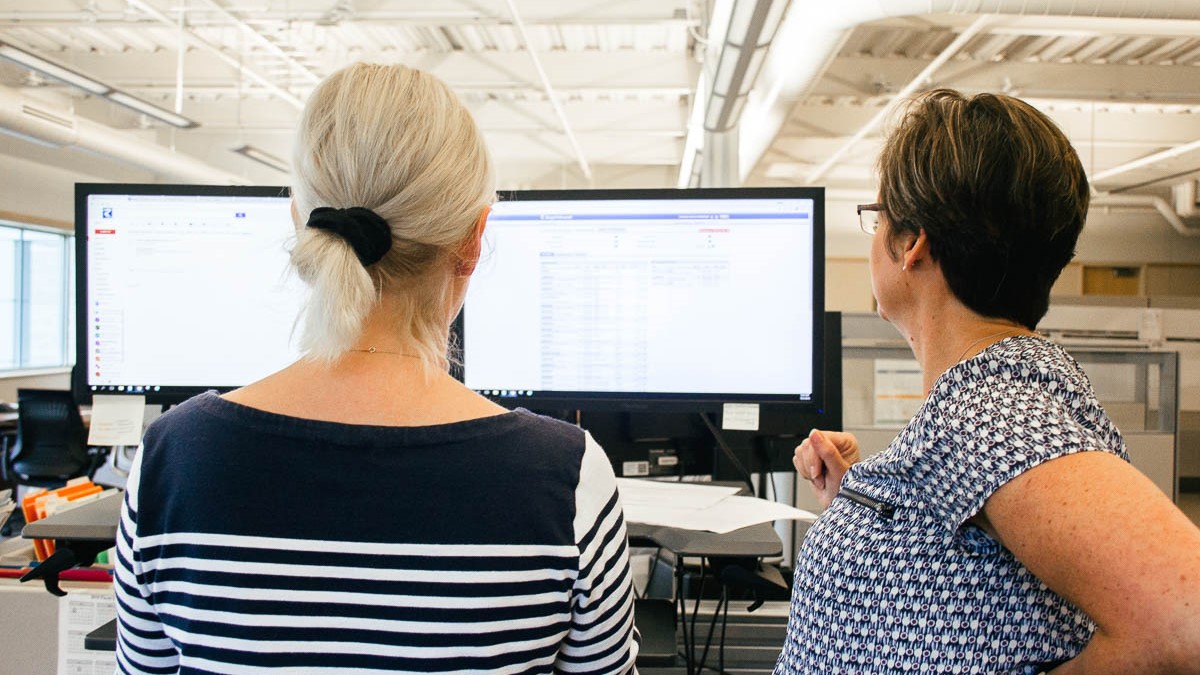 Professional Employees Collaborating Professional Employees Collaborating